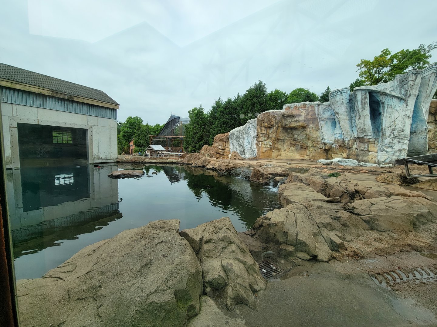 Louisville 5/22 - Glacier Run, polar bear / brown bear exhibit pool