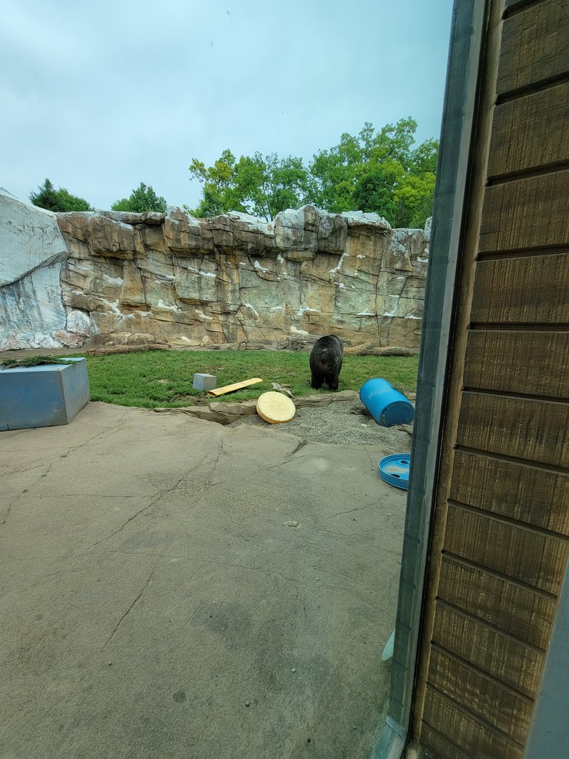Louisville 5/22 - Glacier Run, polar bear / brown bear exhibit