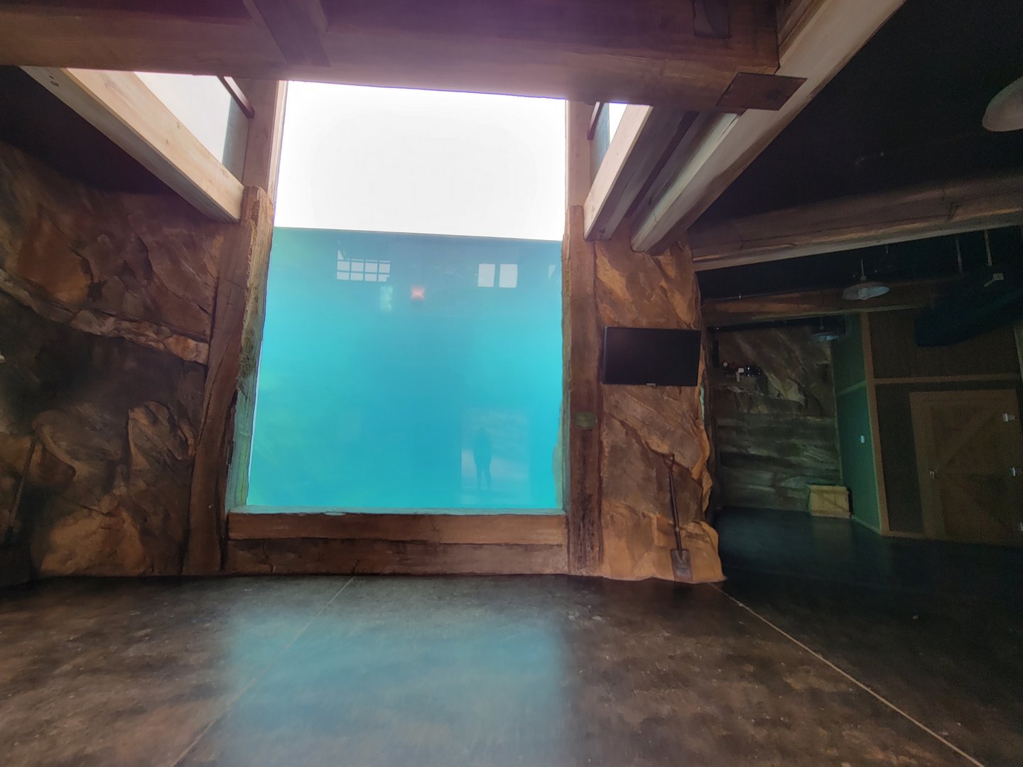 Louisville 5/22 - Glacier Run, pool viewing from indoors ground floor