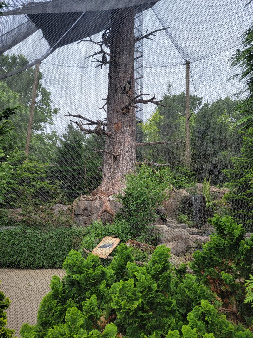 Louisville 5/22 - Glacier Run, Sea Eagle Aviary (closed)