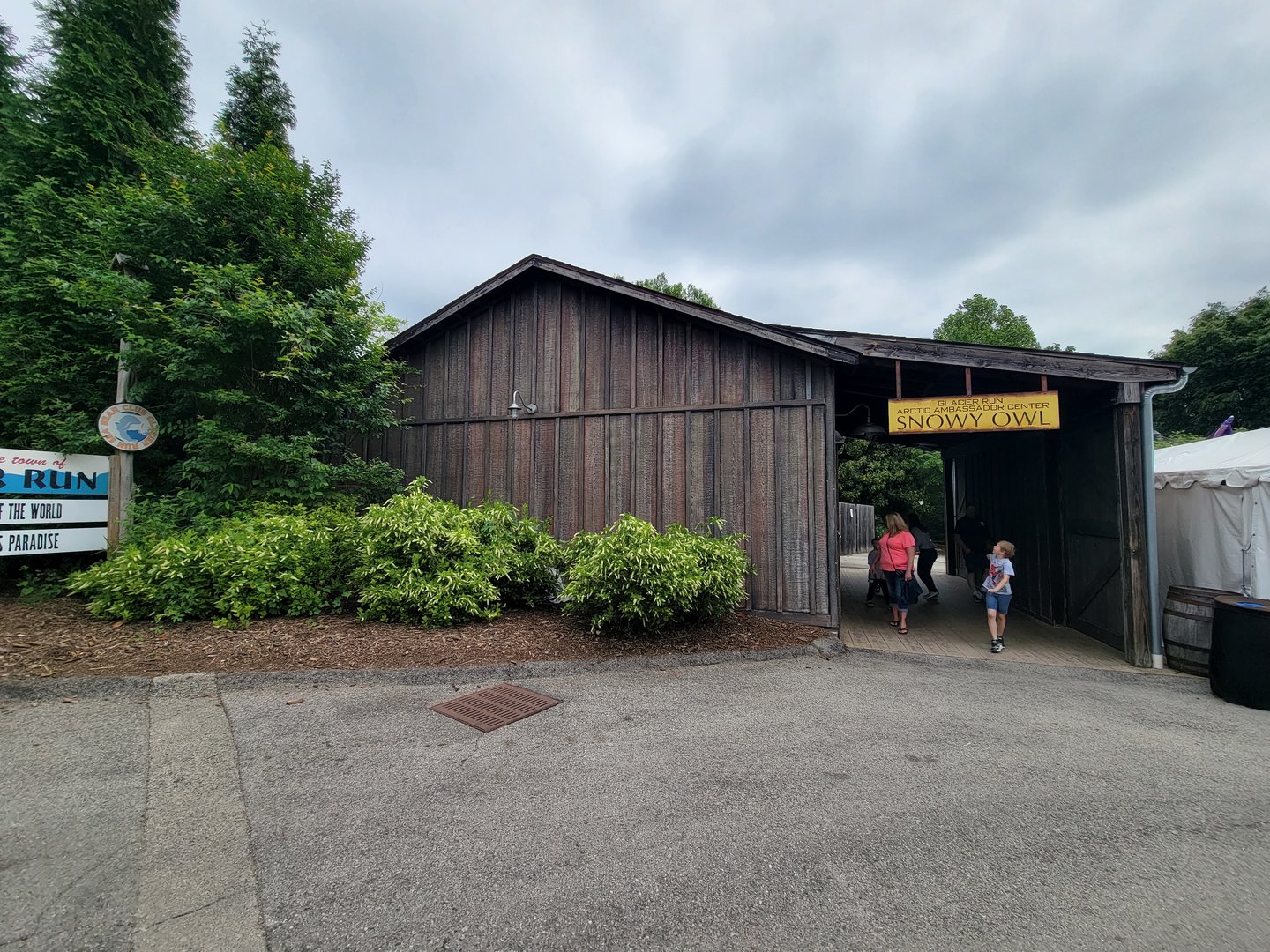 Louisville 5/22 - Glacier Run, Snowy owl
