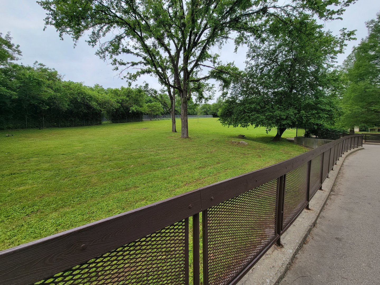 Louisville 5/22 - Guanaco