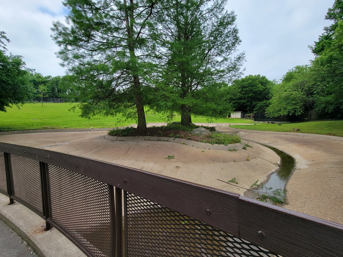 Louisville 5/22 - Guanacos