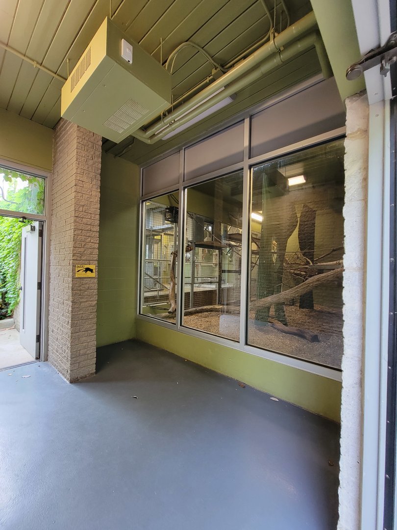 Louisville 5/22 - Guereza Colobus / Schmidt's red-tailed monkey indoor area