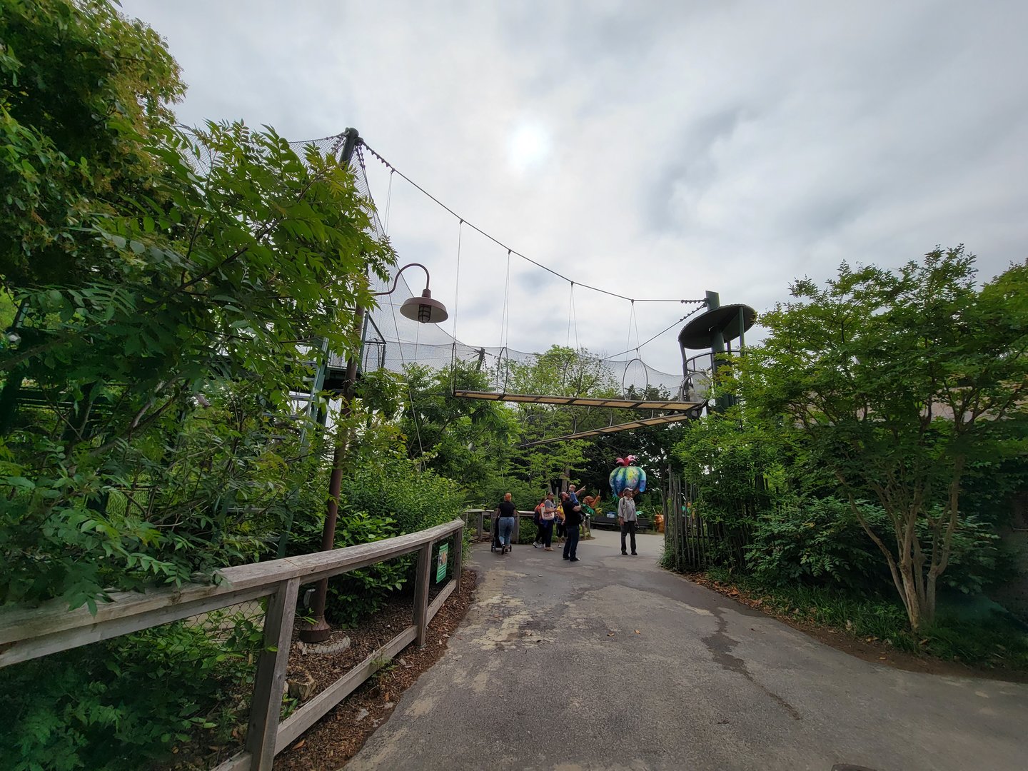 Louisville 5/22 - Guereza Colobus / Schmidt's red-tailed monkey overhead paths