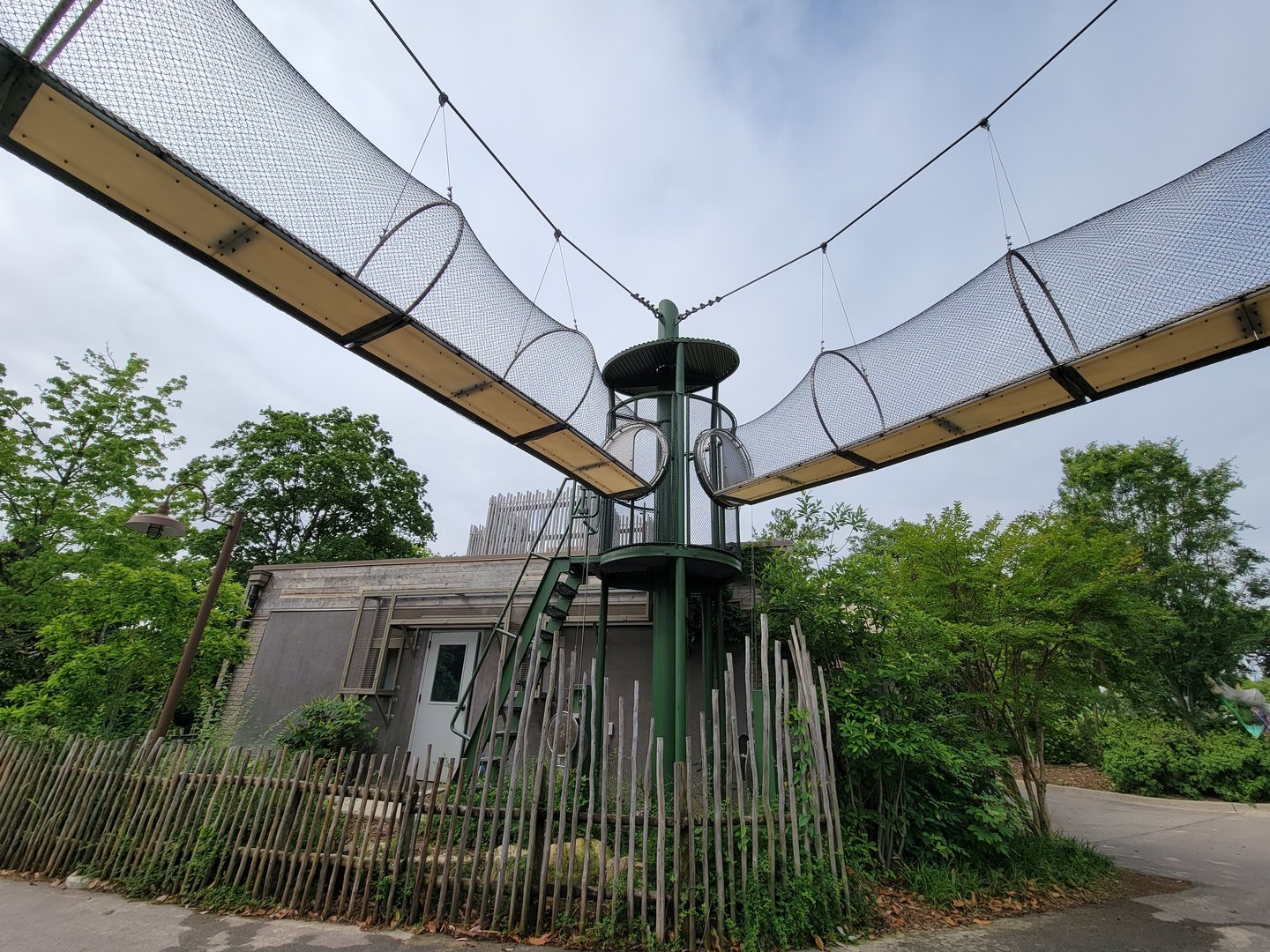 Louisville 5/22 - Guereza Colobus / Schmidt's red-tailed monkey overhead paths