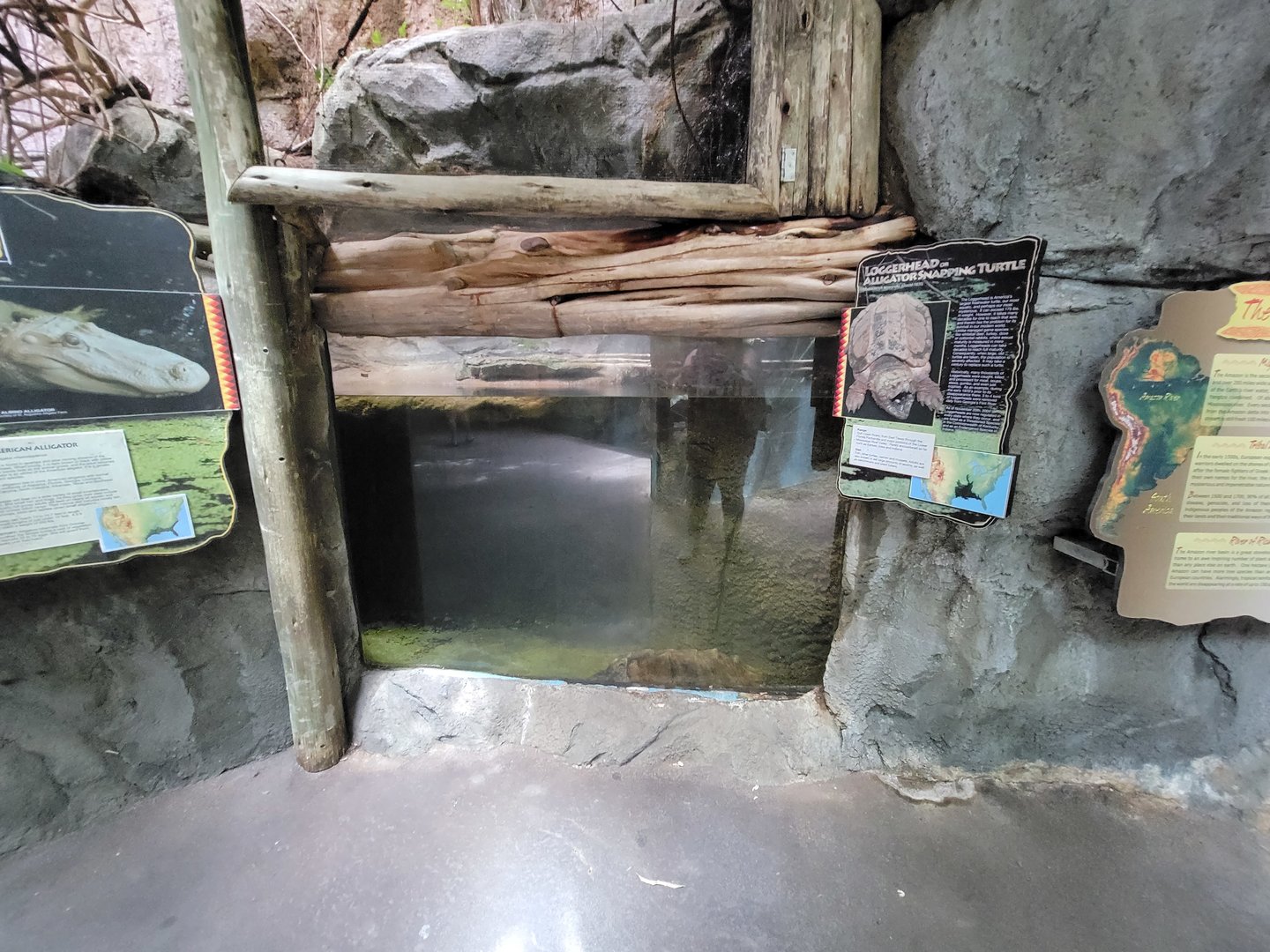 Louisville 5/22 - Herpaquarium, alligator snapping turtle