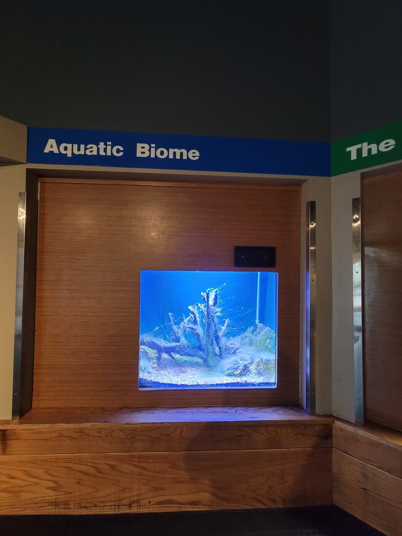 Louisville 5/22 - Herpaquarium, Aquatic biome, no signage