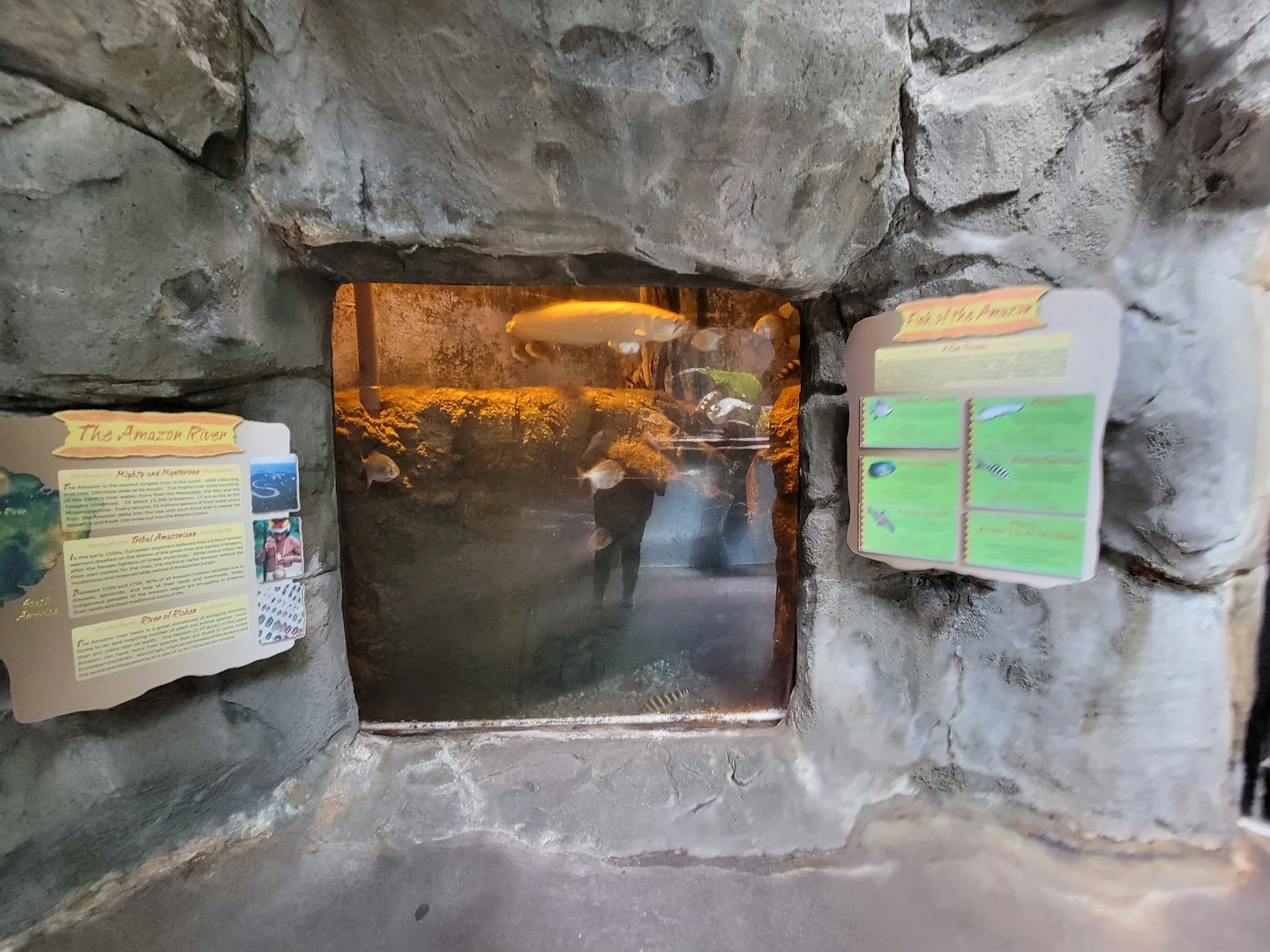 Louisville 5/22 - Herpaquarium, fish of the amazon