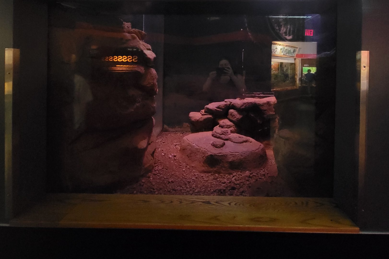 Louisville 5/22 - Herpaquarium, gila monster