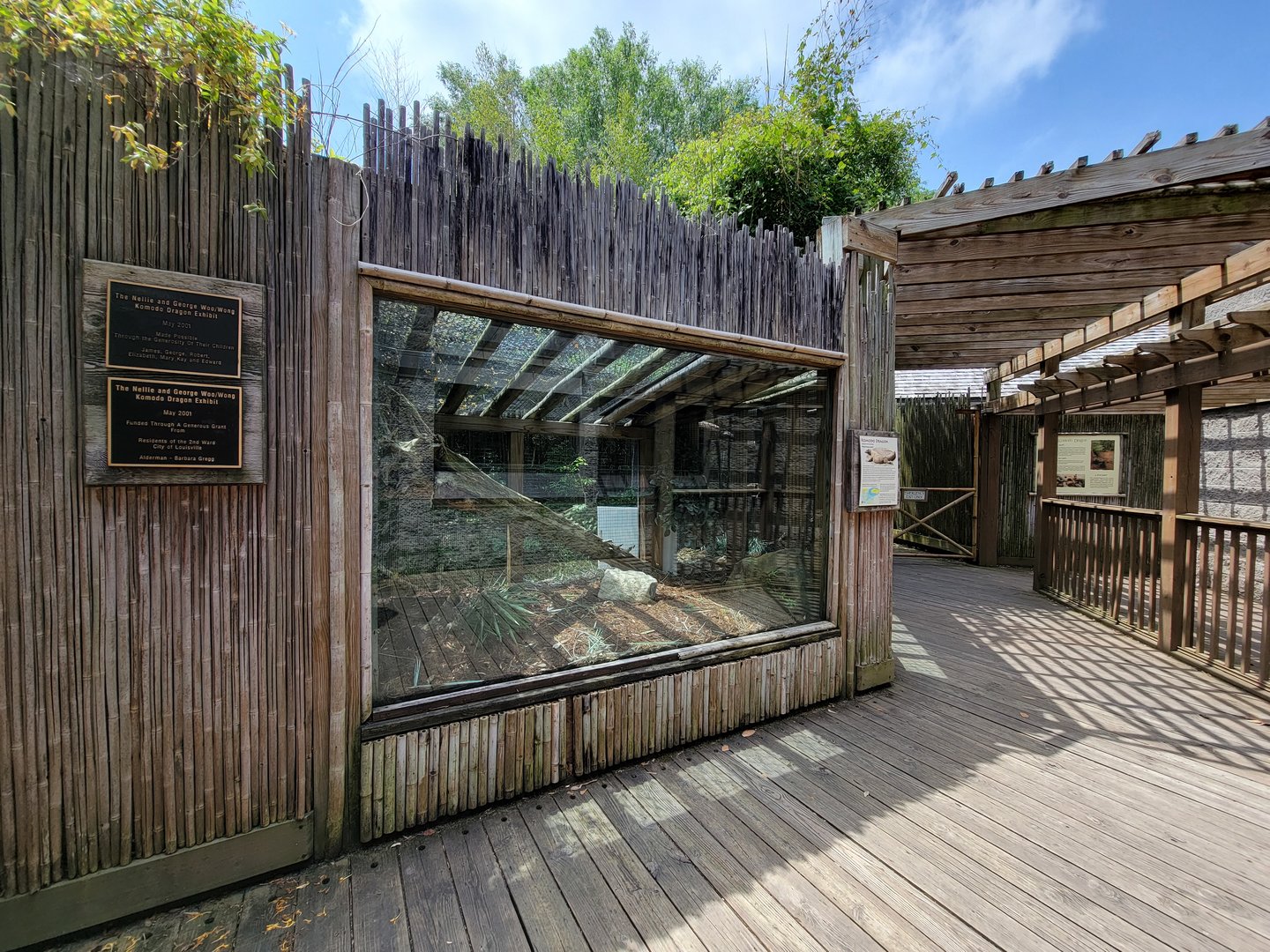 Louisville 5/22 - Herpaquarium, Komodo dragon