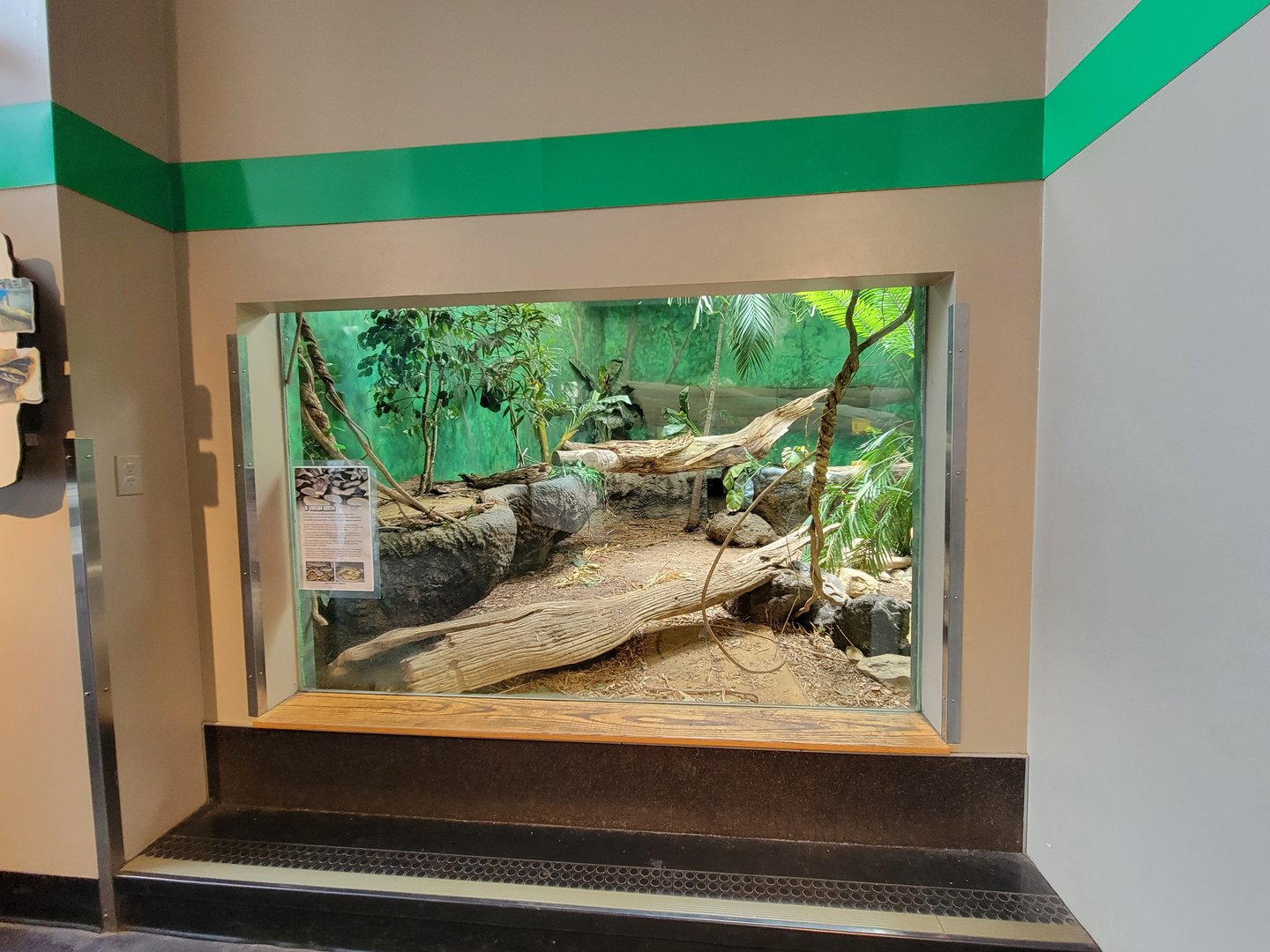 Louisville 5/22 - Herpaquarium, reticulated python