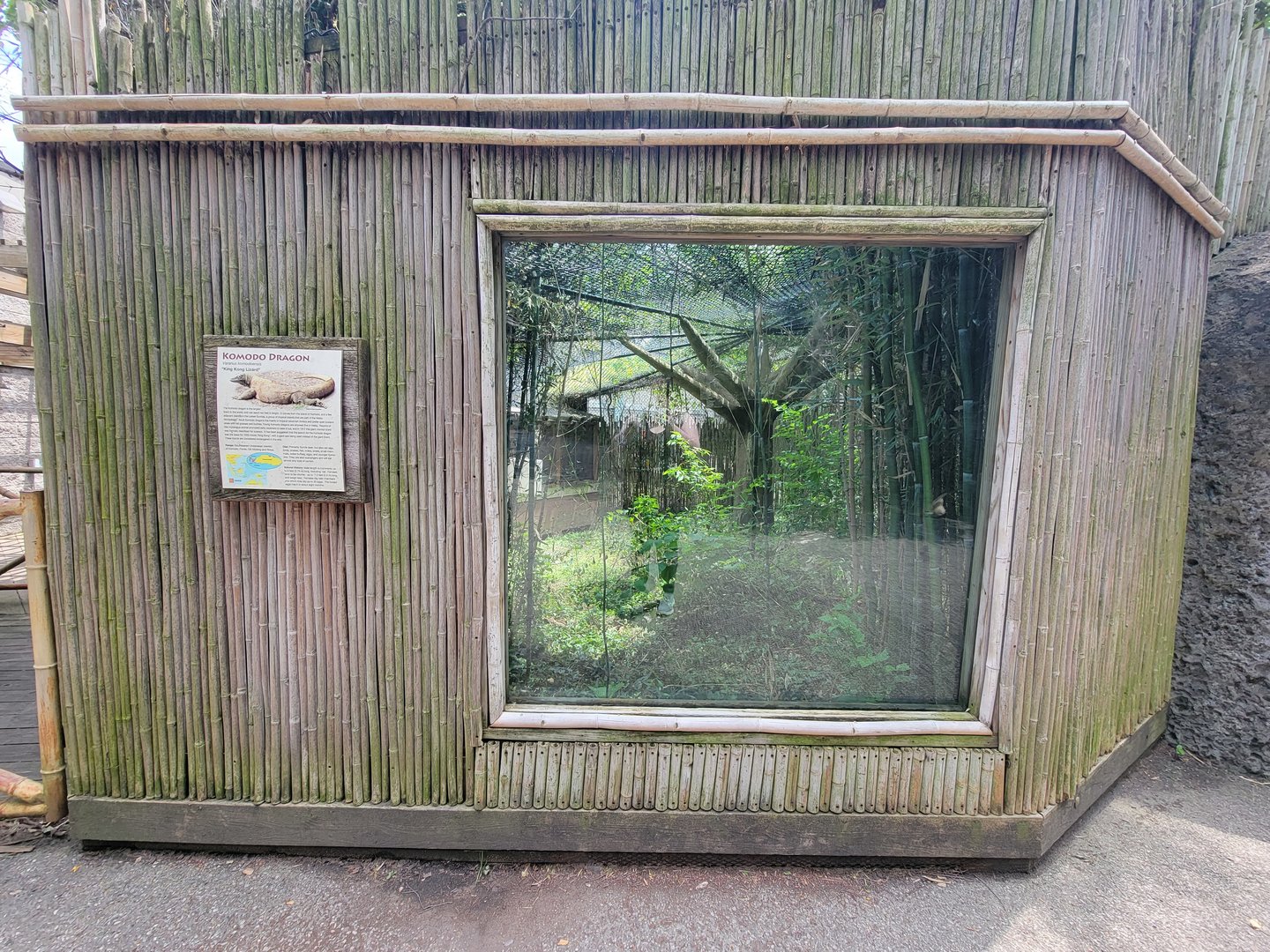 Louisville 5/22 - Islands, Komodo dragon outdoor viewing