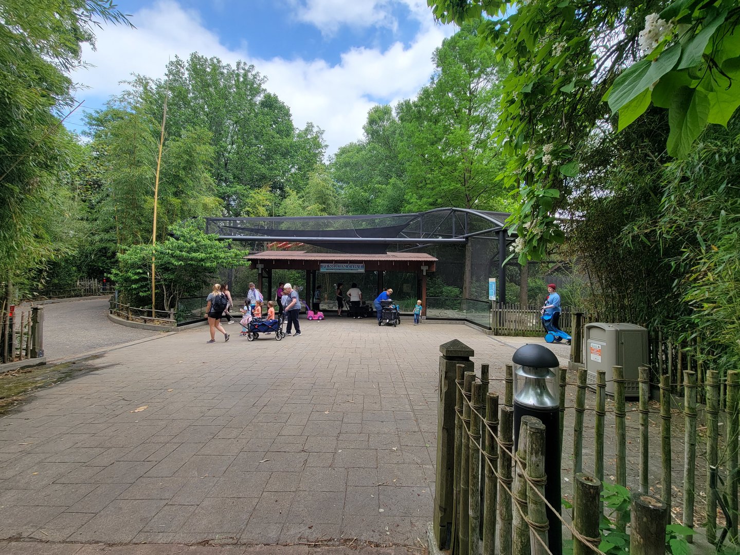 Louisville 5/22 - Islands, Little blue penguins