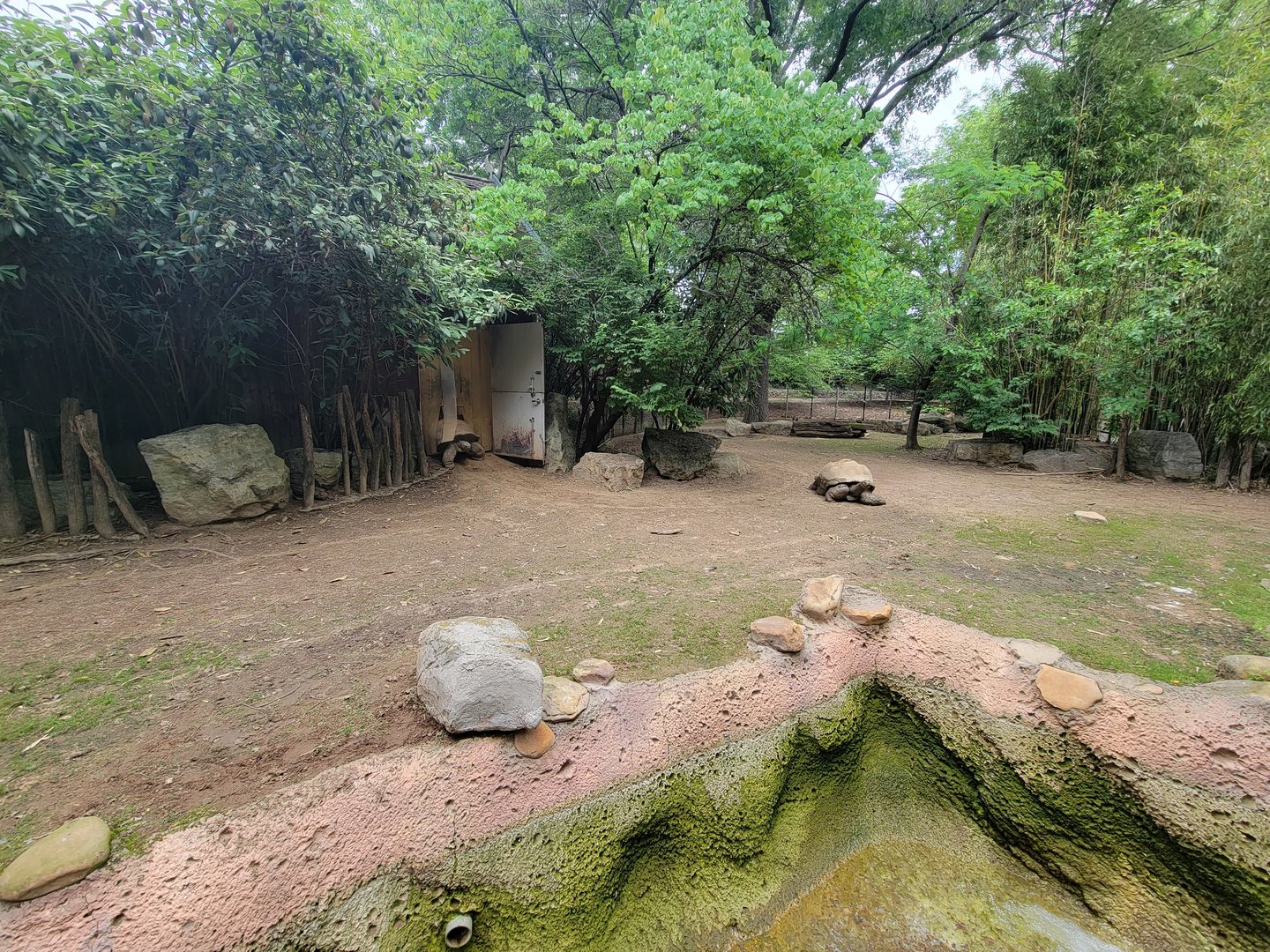 Louisville 5/22 - Islands, Oriental white stork, demoiselle crane, Aldabra tortoise