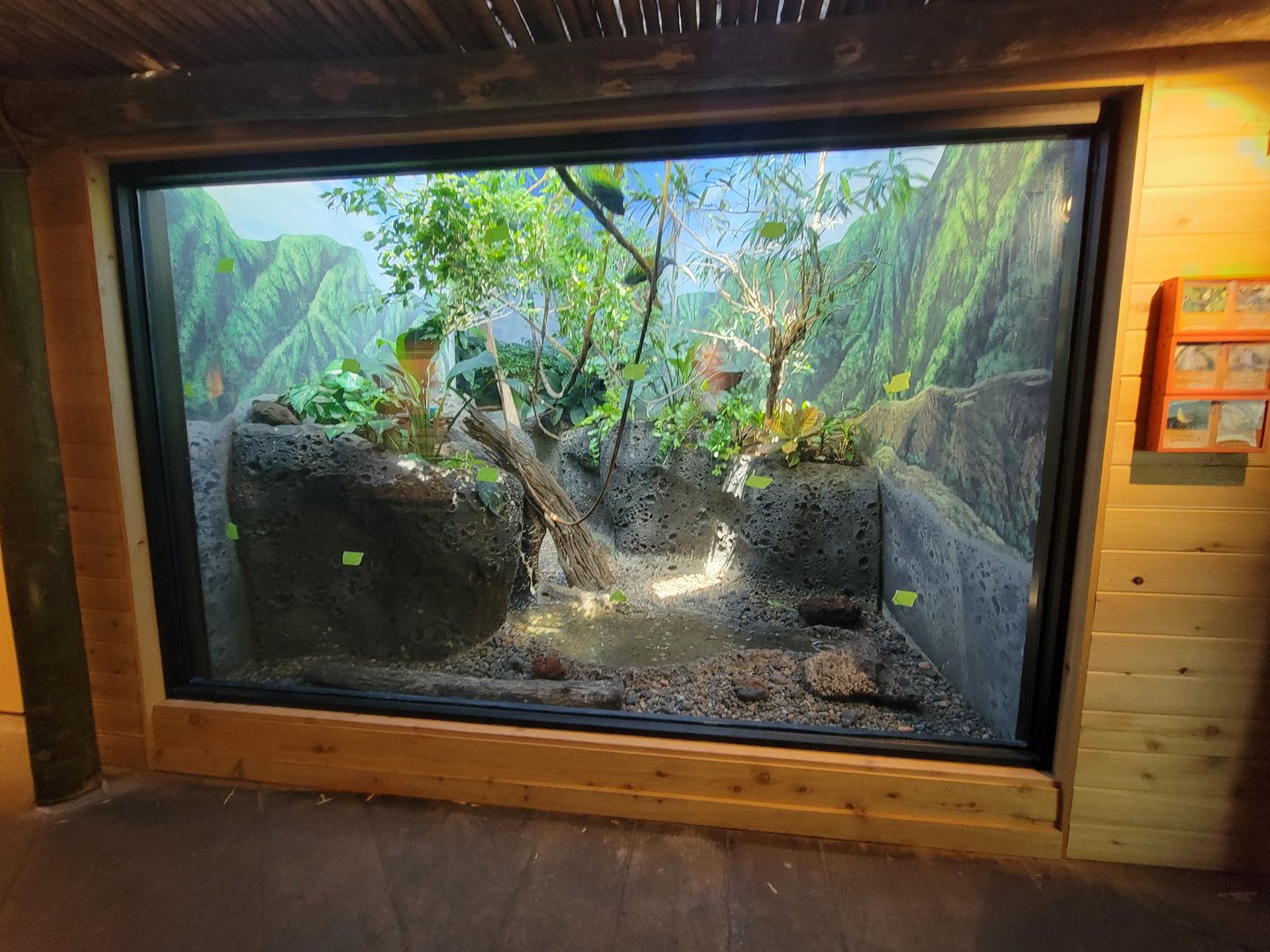 Louisville 5/22 - Islands Pavilion, dove exhibit