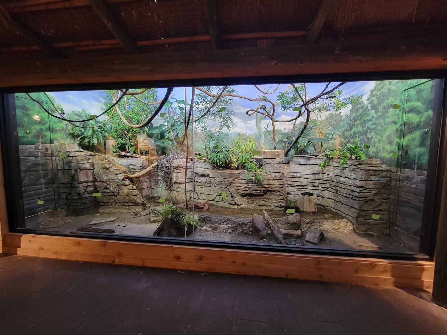 Louisville 5/22 - Islands Pavilion, mixed exhibit