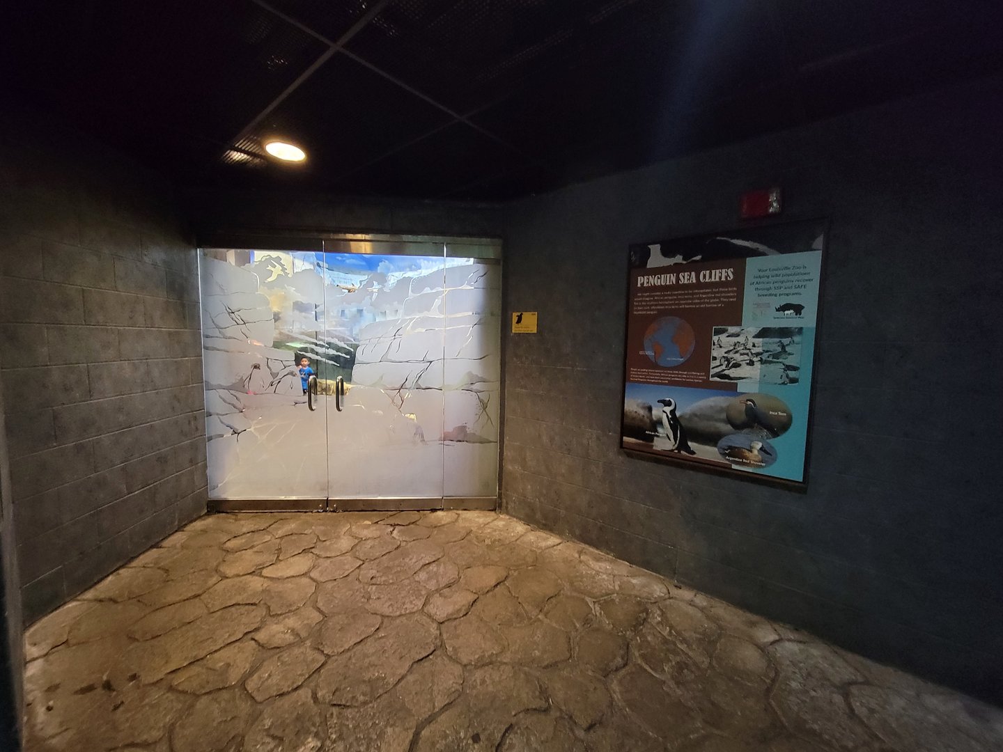 Louisville 5/22 - Islands Pavilion, Penguin Sea Cliffs