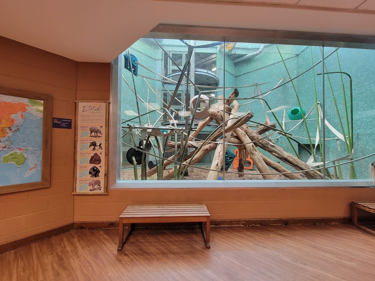 Louisville 5/22 - Islands Pavilion, rotational exhibit #4, Malayan tapir