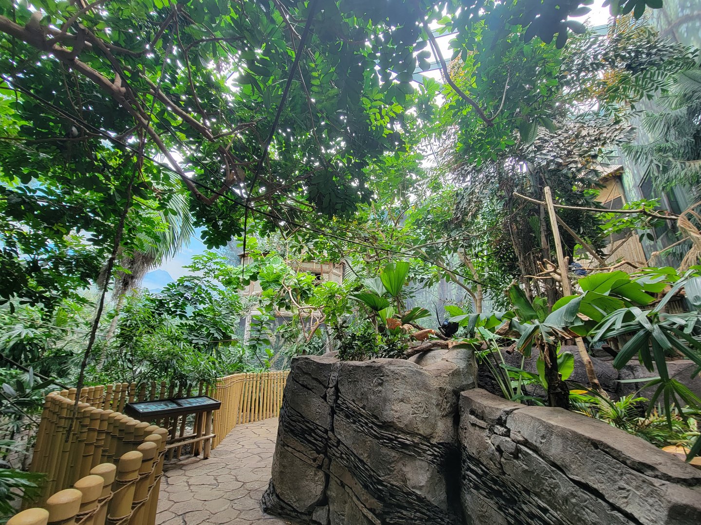 Louisville 5/22 - Islands Pavilion, walk-through aviary