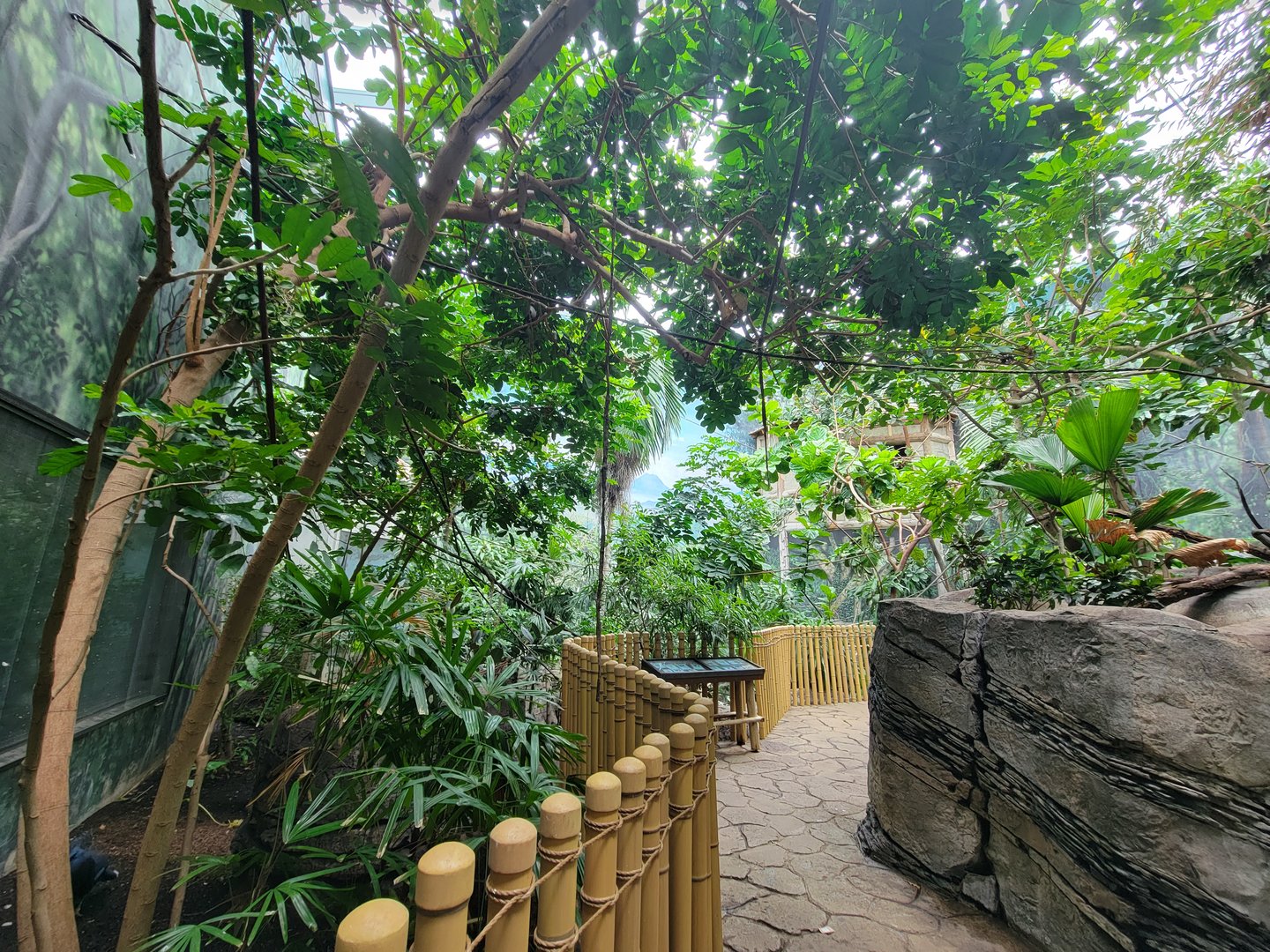 Louisville 5/22 - Islands Pavilion, walk-through aviary