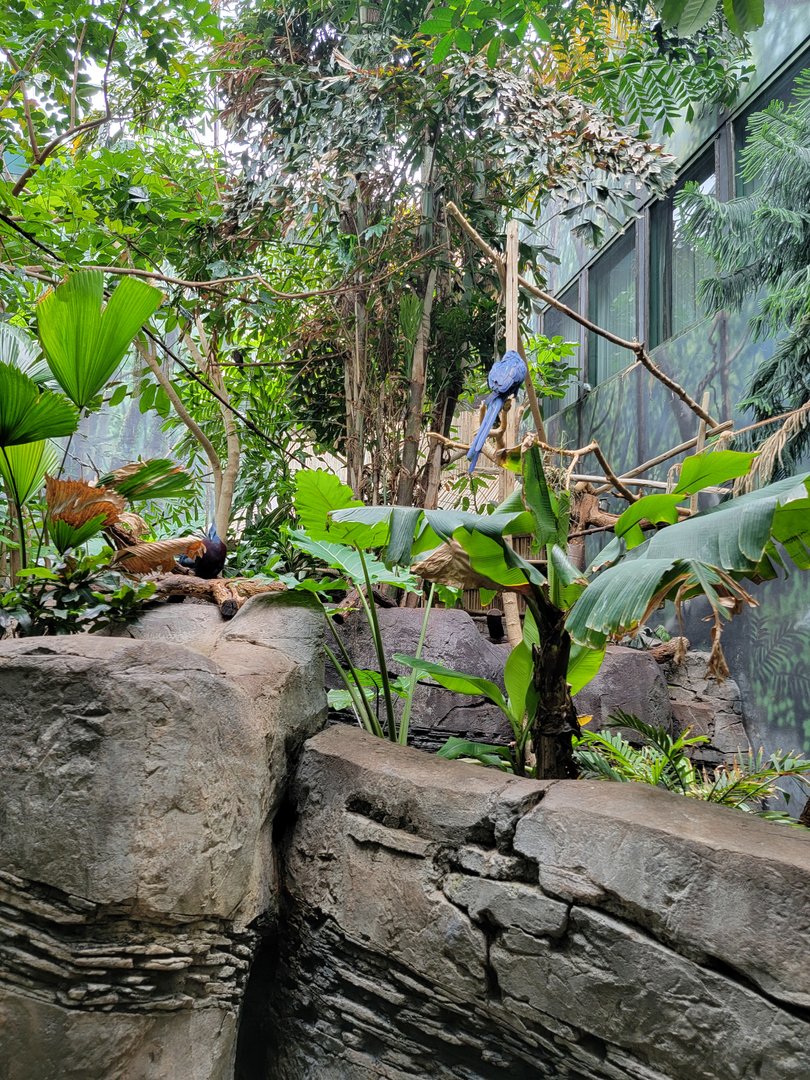 Louisville 5/22 - Islands Pavilion, walk-through aviary