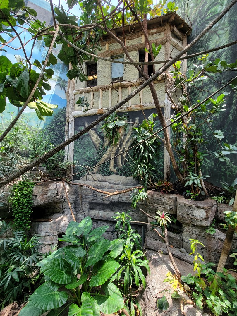 Louisville 5/22 - Islands Pavilion, walk-through aviary