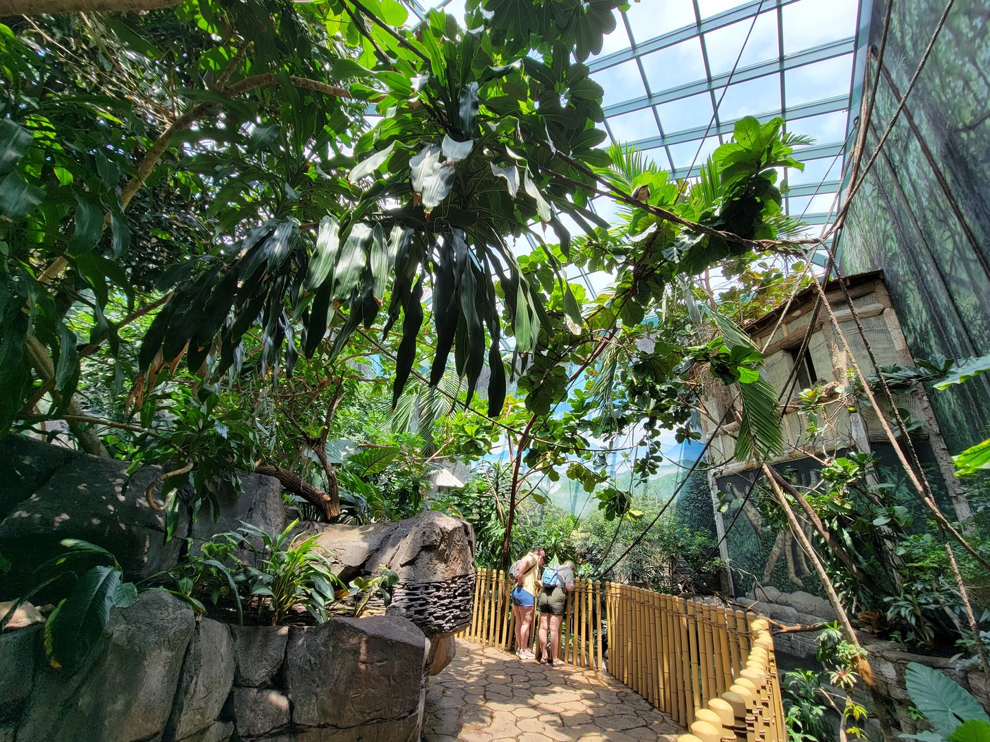 Louisville 5/22 - Islands Pavilion, walk-through aviary