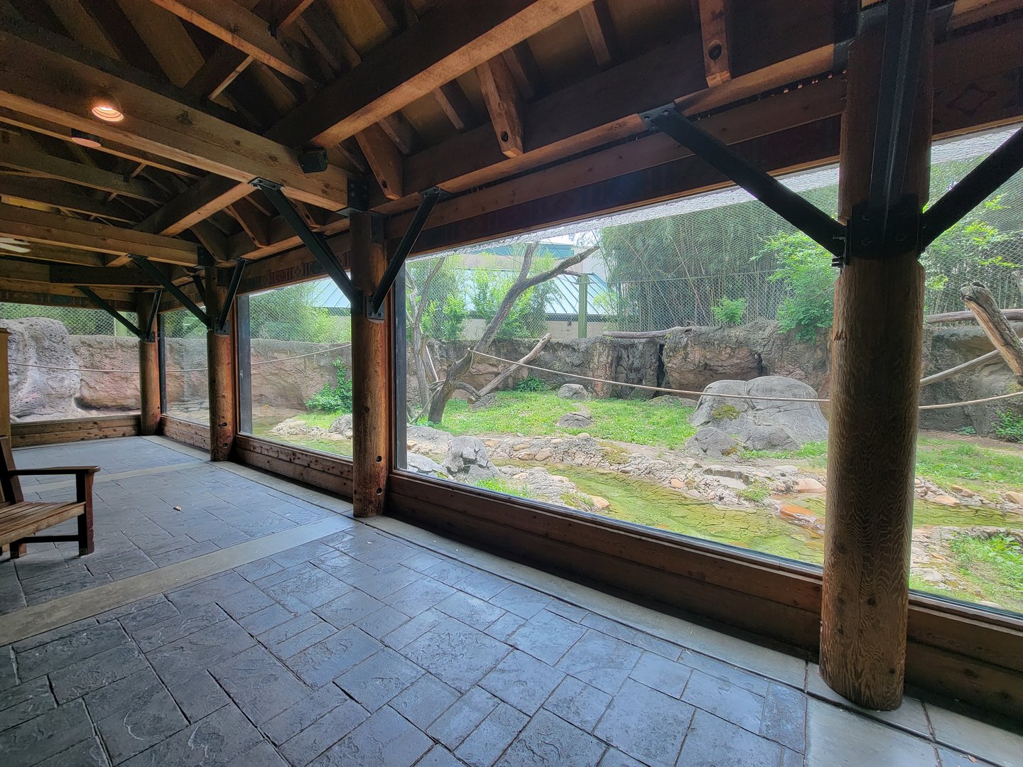 Louisville 5/22 - Islands, rotational exhibit Banjar House, Sumatran tiger