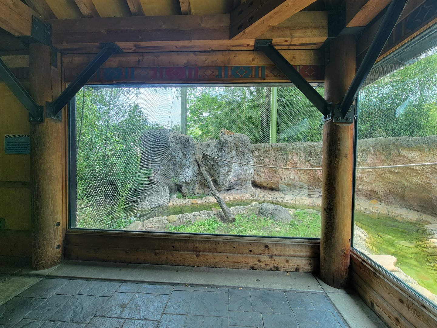 Louisville 5/22 - Islands, rotational exhibit Banjar House, Sumatran tiger