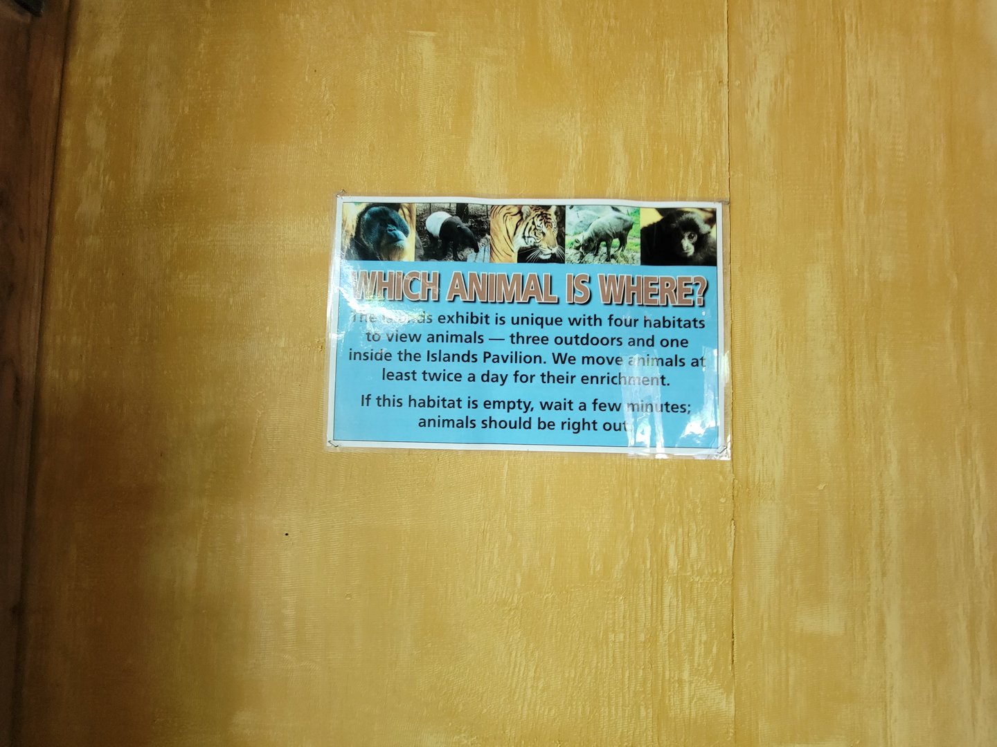 Louisville 5/22 - Islands, rotational exhibit info