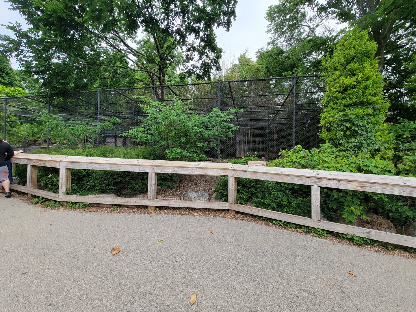 Louisville 5/22 - Jaguar