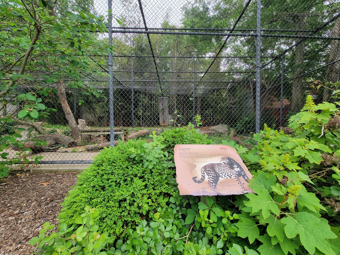 Louisville 5/22 - Jaguar