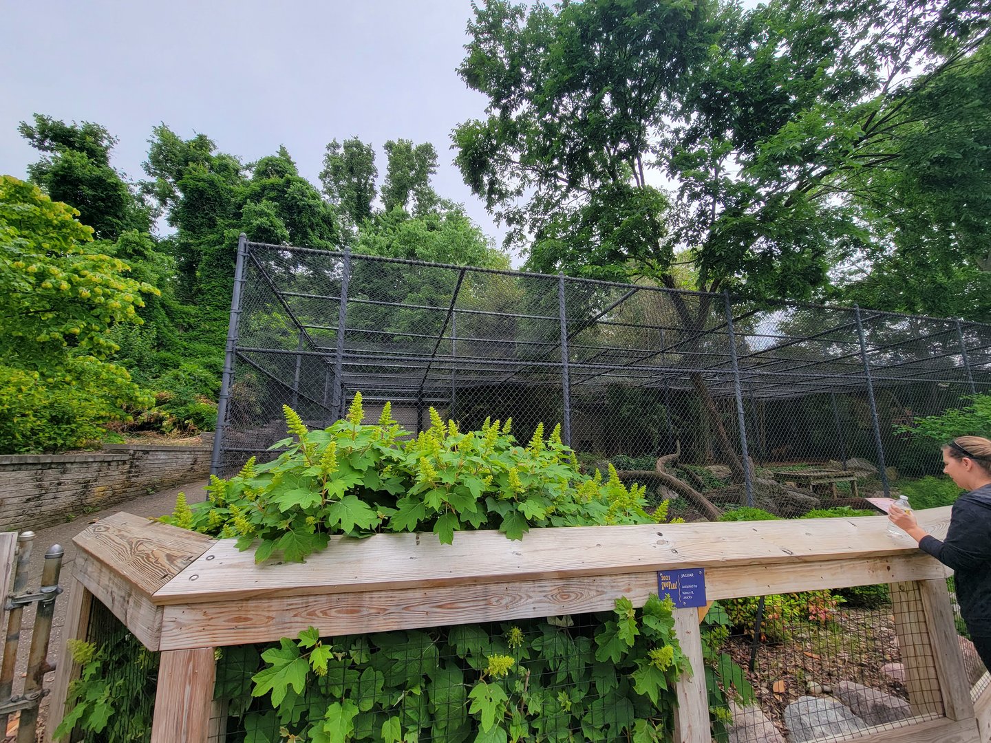 Louisville 5/22 - Jaguar