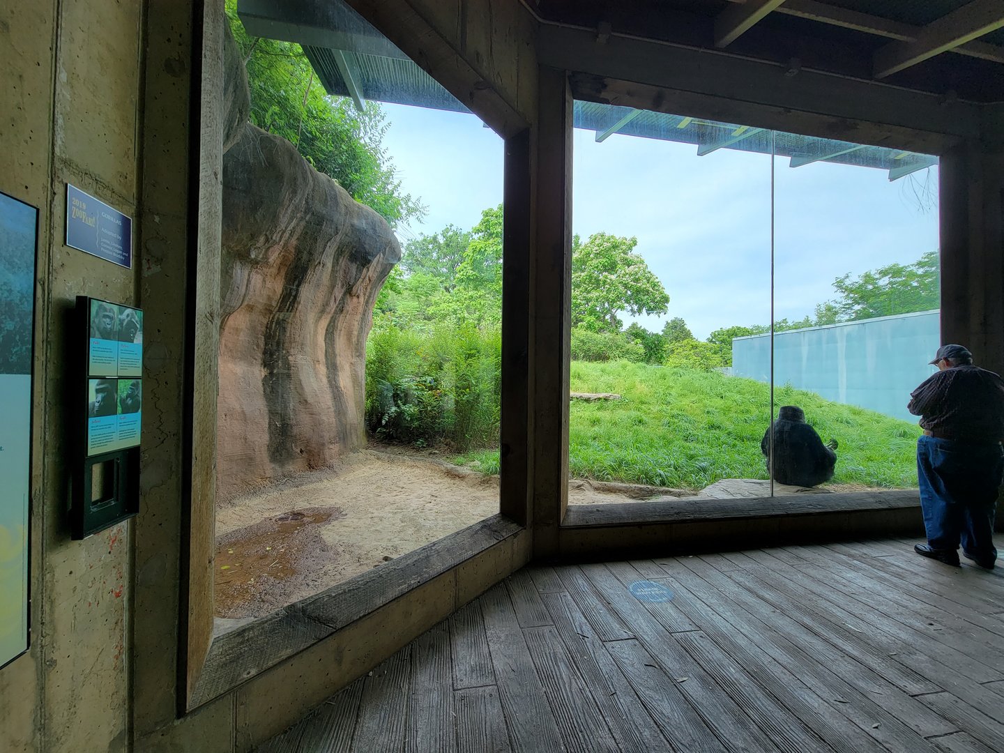 Louisville 5/22 - Lowland Gorillas