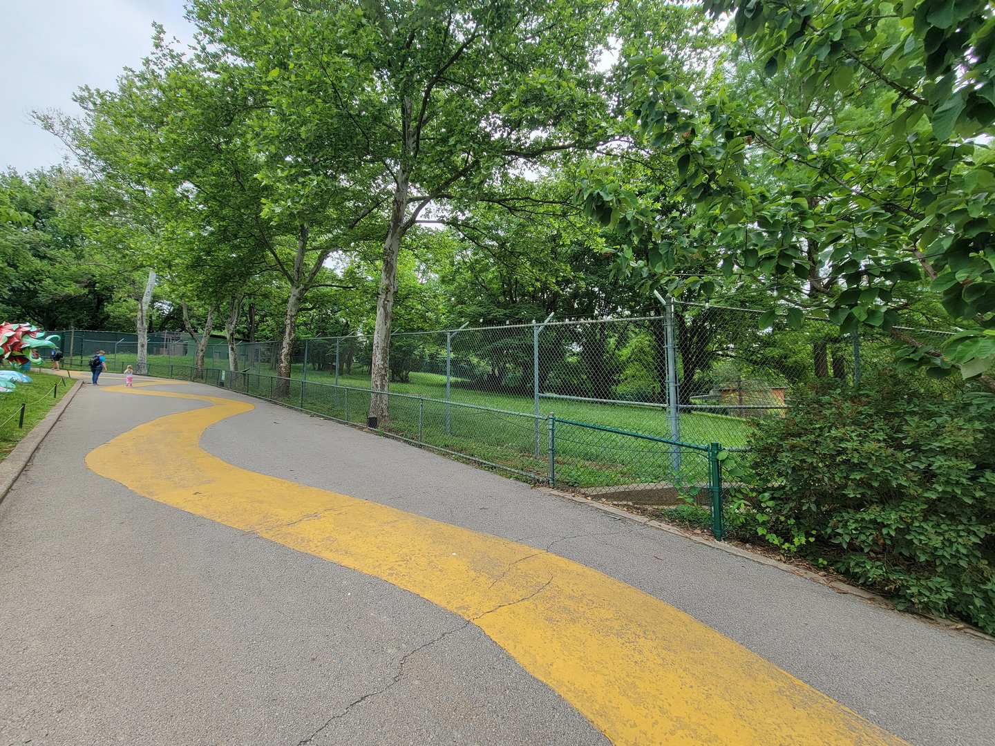 Louisville 5/22 - Maned wolf