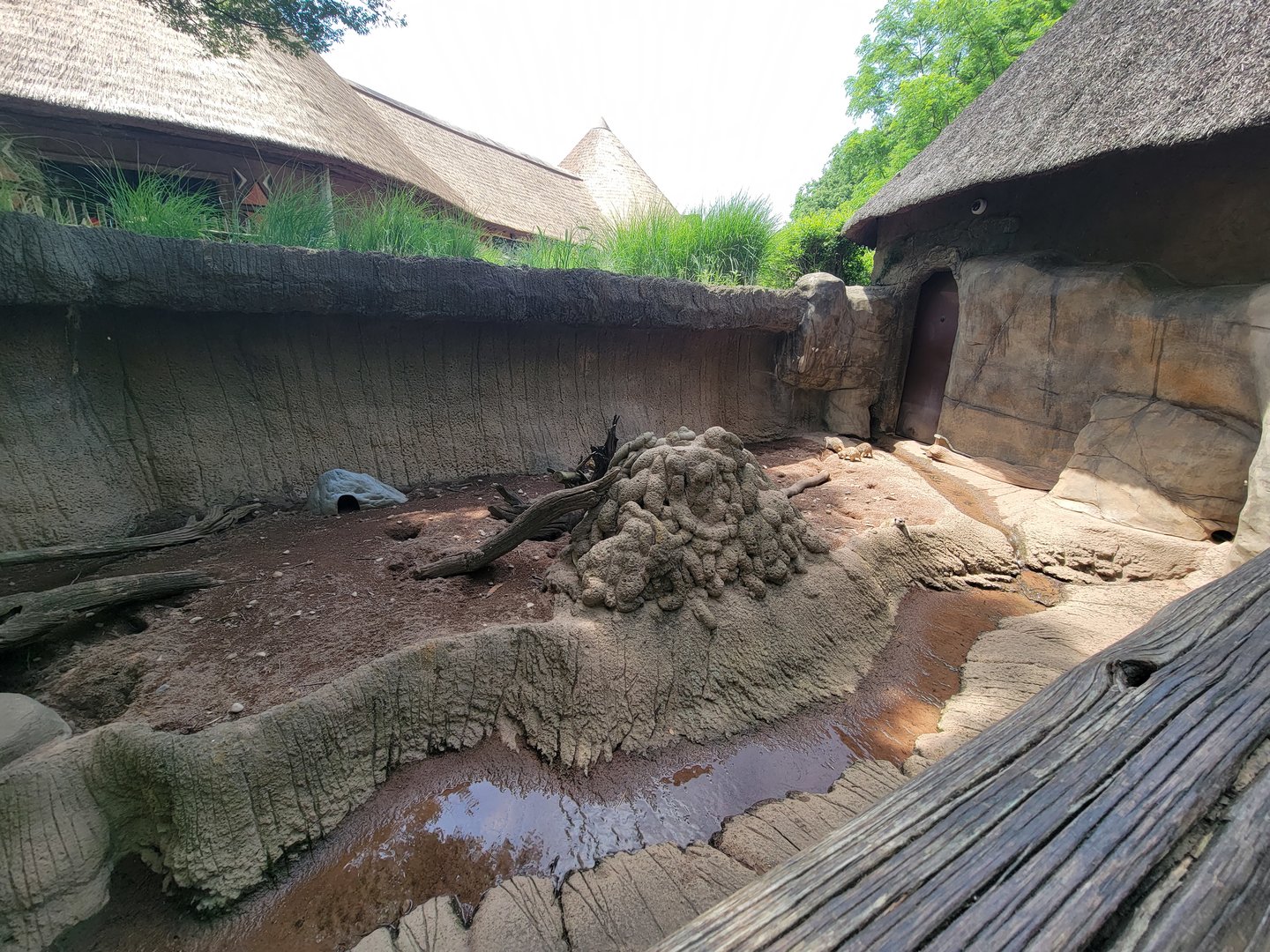 Louisville 5/22 - Meerkats