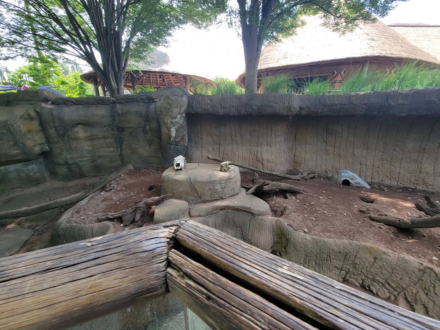 Louisville 5/22 - Meerkats