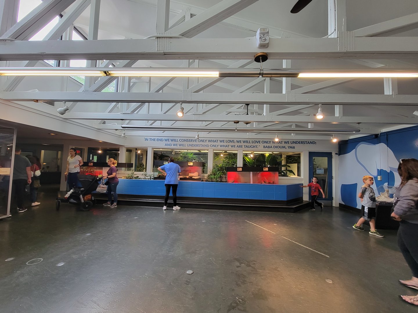 Louisville 5/22 - Metazoo, herp wall