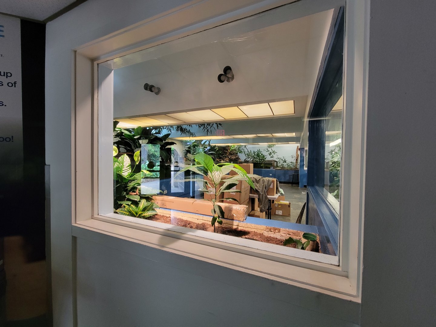 Louisville 5/22 - Metazoo, plant growing