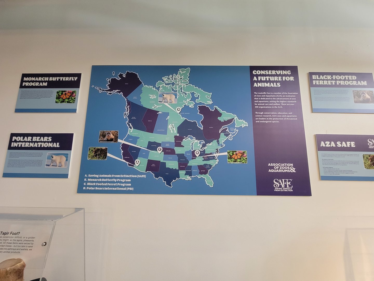 Louisville 5/22 - Metazoo, some SAFE info