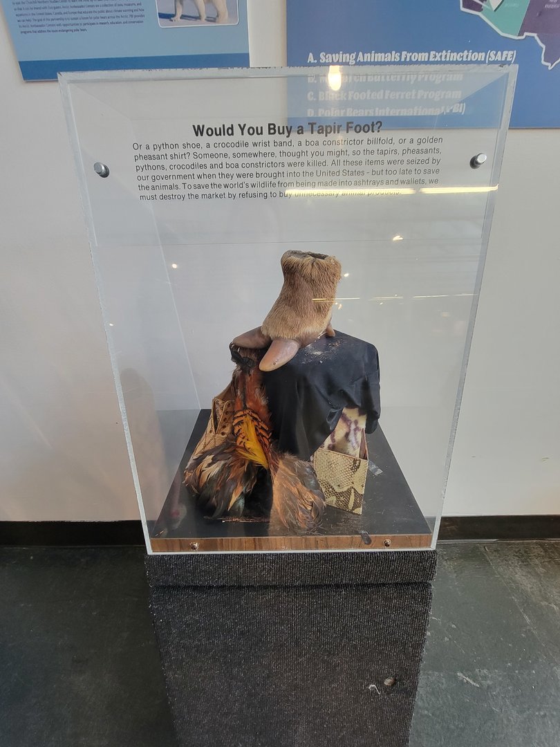 Louisville 5/22 - Metazoo, trafficked animal parts made into human items