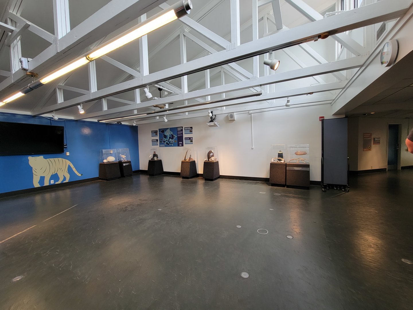 Louisville 5/22 - Metazoo, wall opposite herps