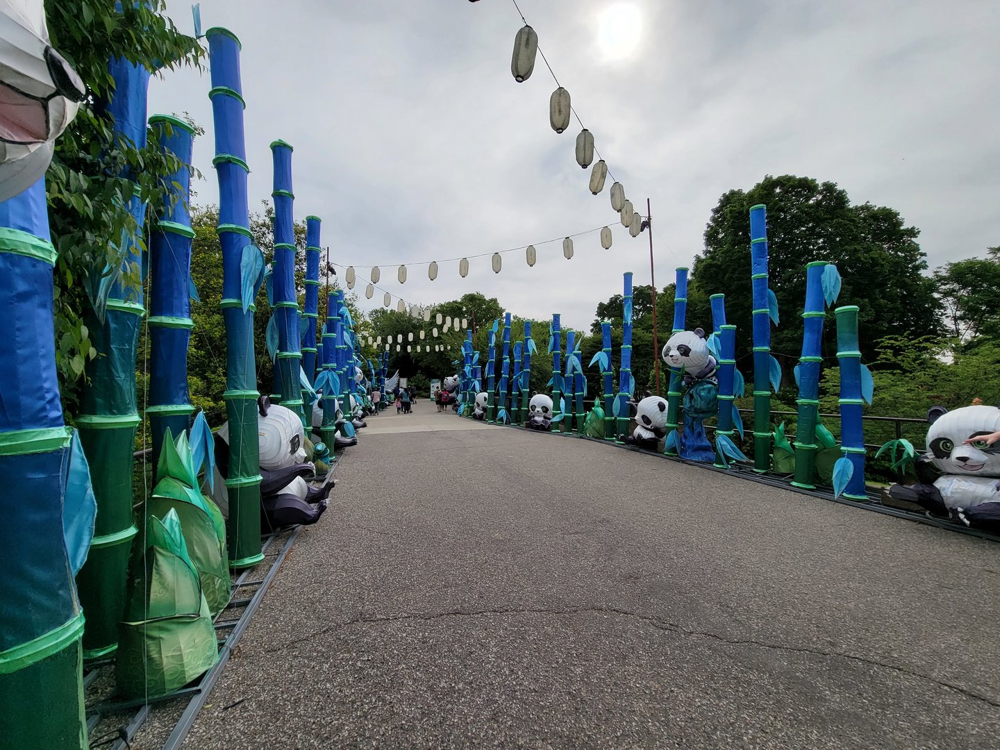 Louisville 5/22 - Path to Africa