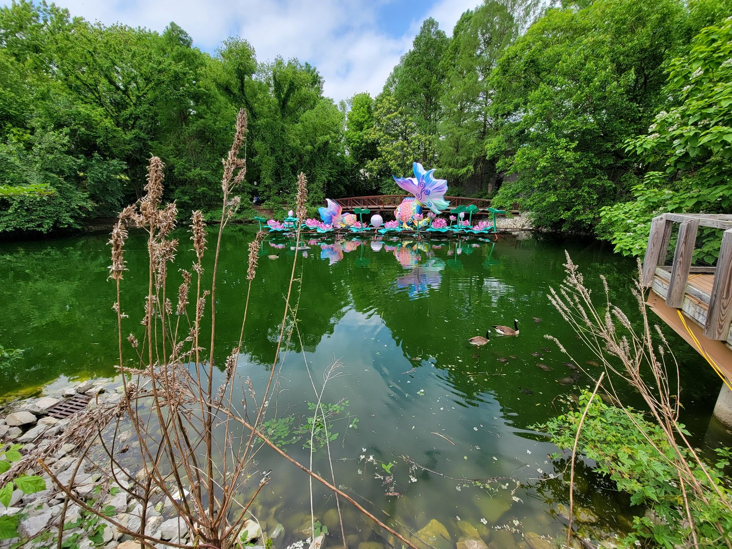 Louisville 5/22 - Pond