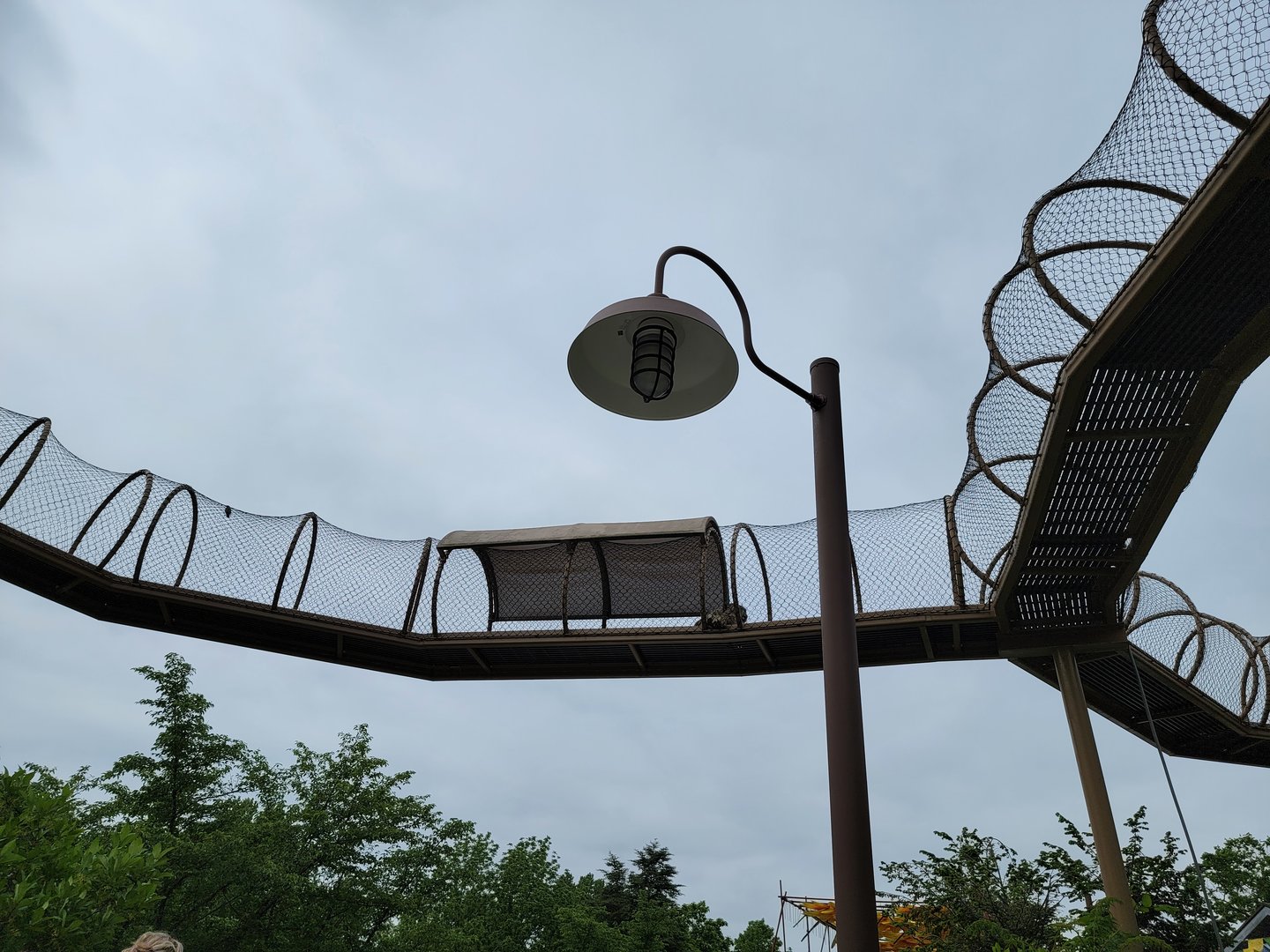 Louisville 5/22 - Snow leopard overhead