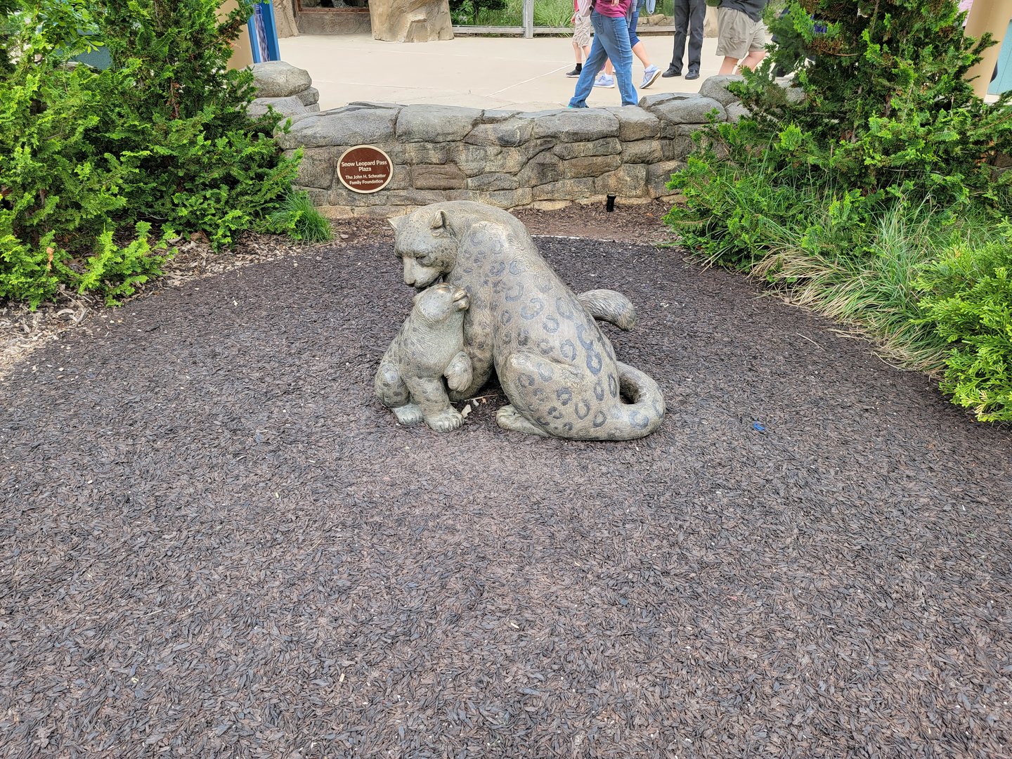 Louisville 5/22 - Snow leopard statue
