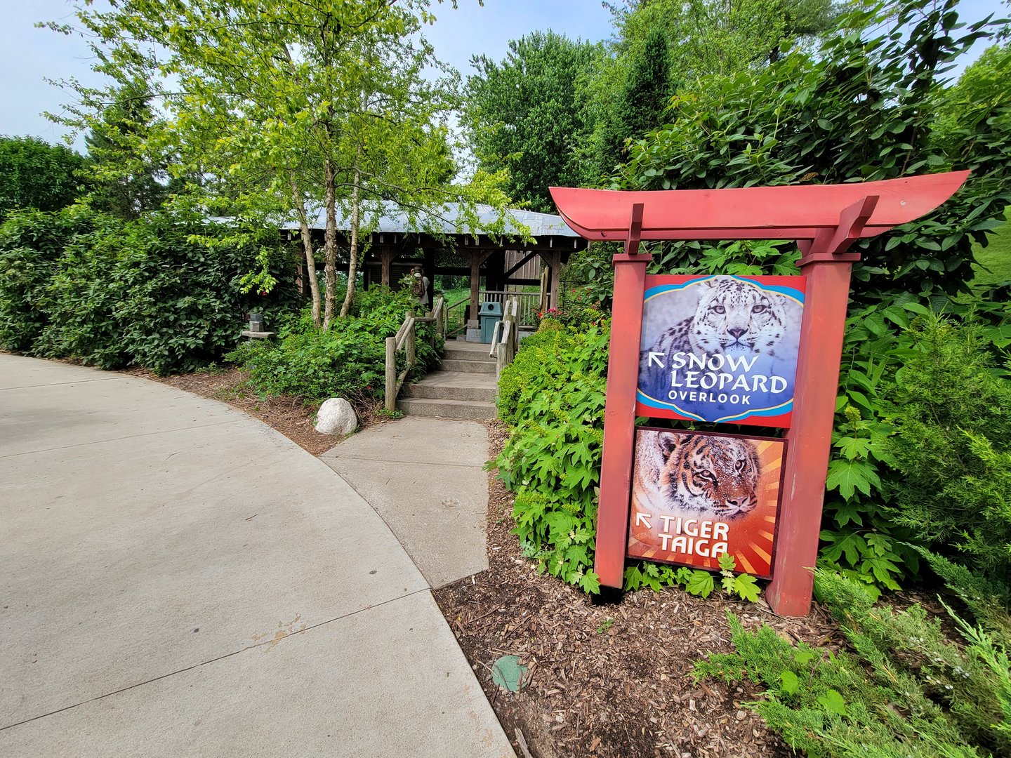 Louisville 5/22 - Tiger taiga and snow leopard pass