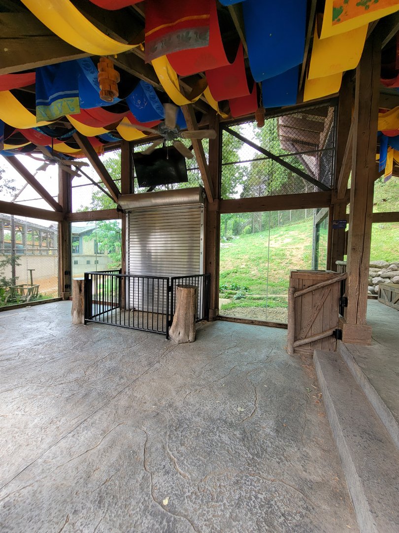 Louisville 5/22 - Tiger Taiga