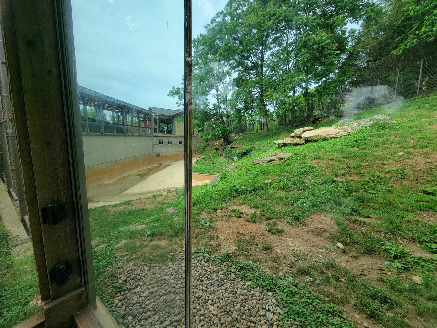 Louisville 5/22 - Tiger Taiga